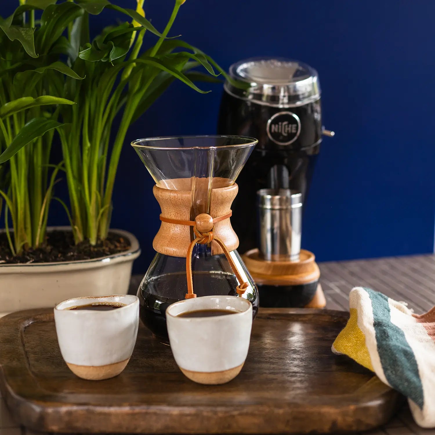 Astro Coffee is an artisan coffee roaster established in 2022